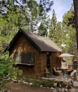 Tiny Mountain Cabin under the pines. Dogs ok.