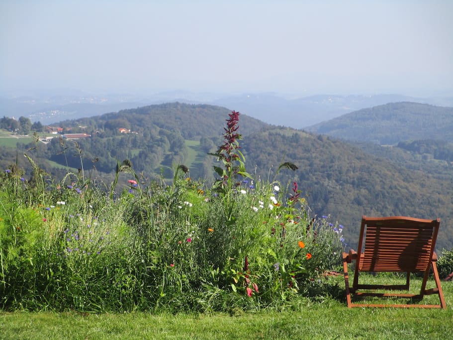 Wunderbarer Ausblick
