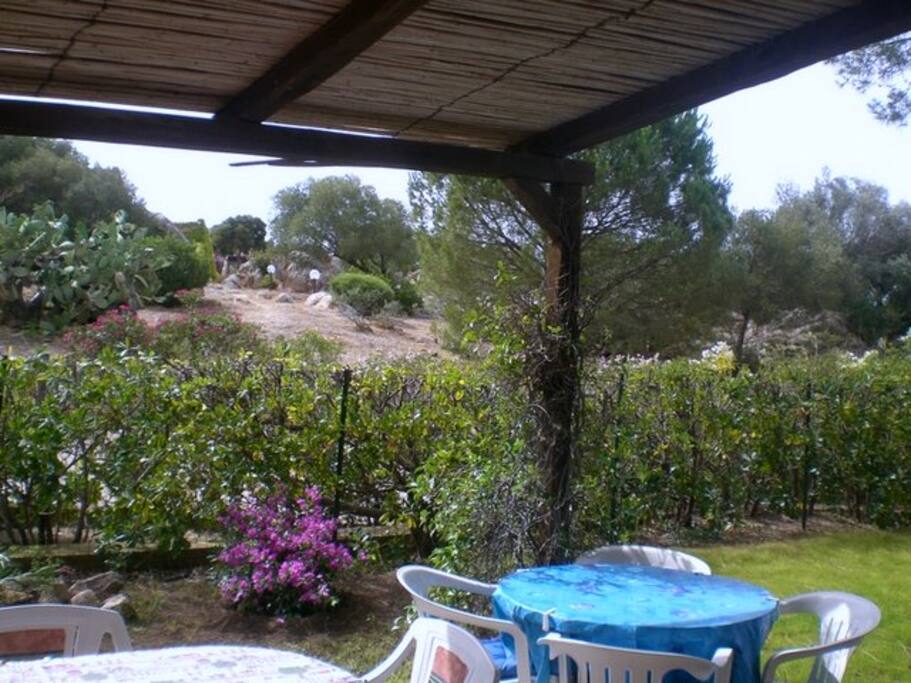 garden/patio