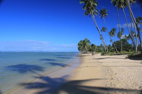 Beachfront Cottage, 4 beds, full kitchen-Coco