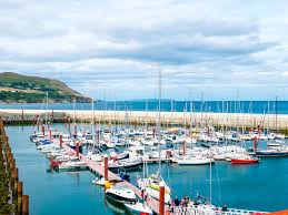 A vibrant marina is depicted with numerous boats moored in the serene blue water. The surrounding landscape features gentle hills and an expansive sandy beach, under a sky filled with soft clouds, creating a picturesque coastal scene.