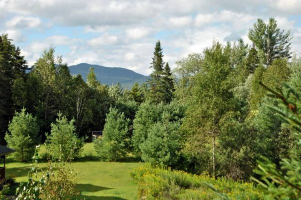 Side Yard