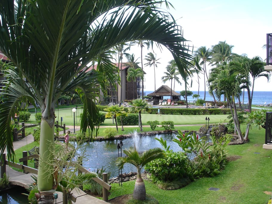 View from Lanai
Enjoy eating outside, 4 chairs, table and lounge chair, view of ponds, putting green, pool and ocean!