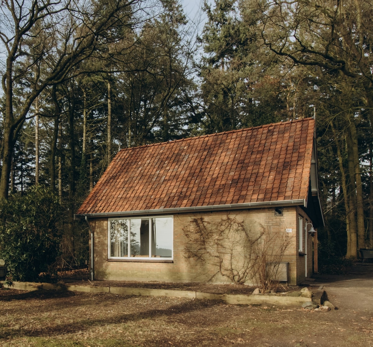 The house features a sloped roof with red tiles and a natural stone façade. Large windows allow for views of the surrounding trees, while nearby greenery enhances the peaceful atmosphere. The entrance is framed by a simple pathway leading through the garden.