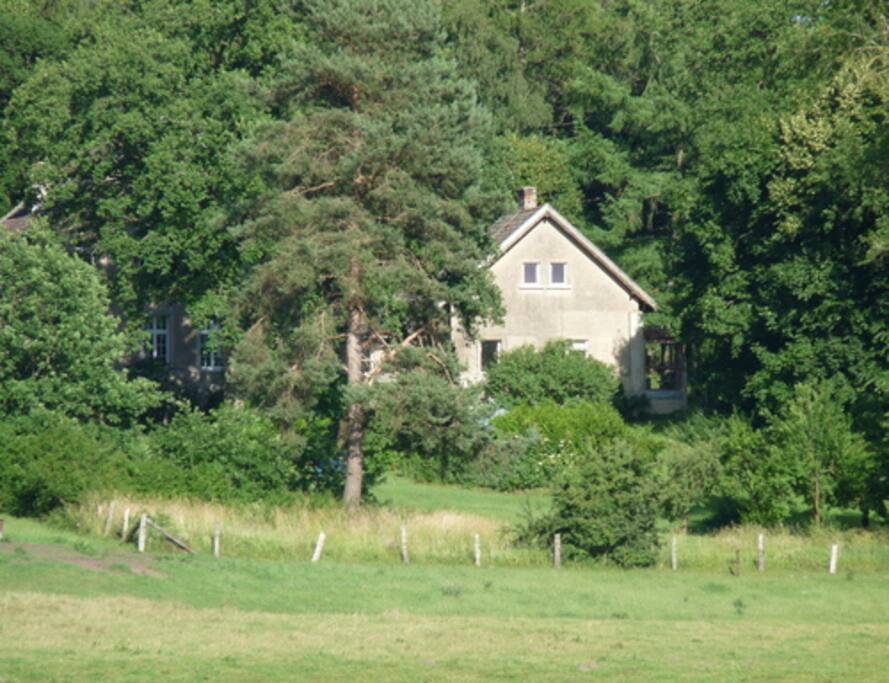 Hausansicht Seeseite: Blick vom Plauer See auf das Ferienhaus am Naturschutzwald