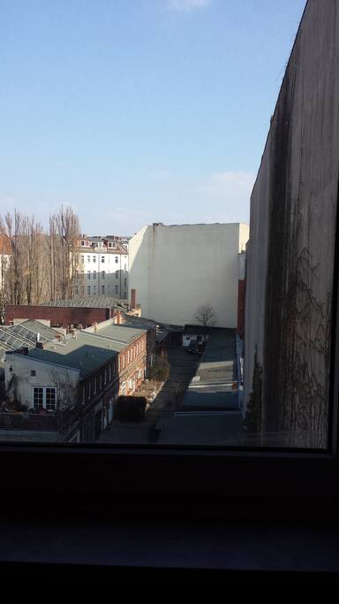 the view