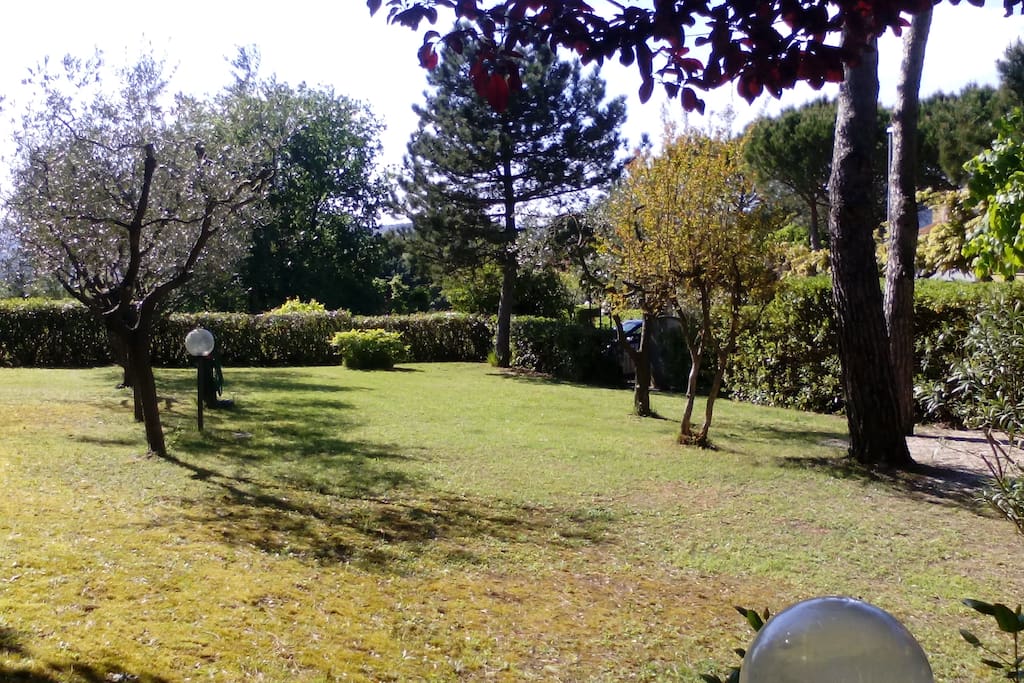 Garden