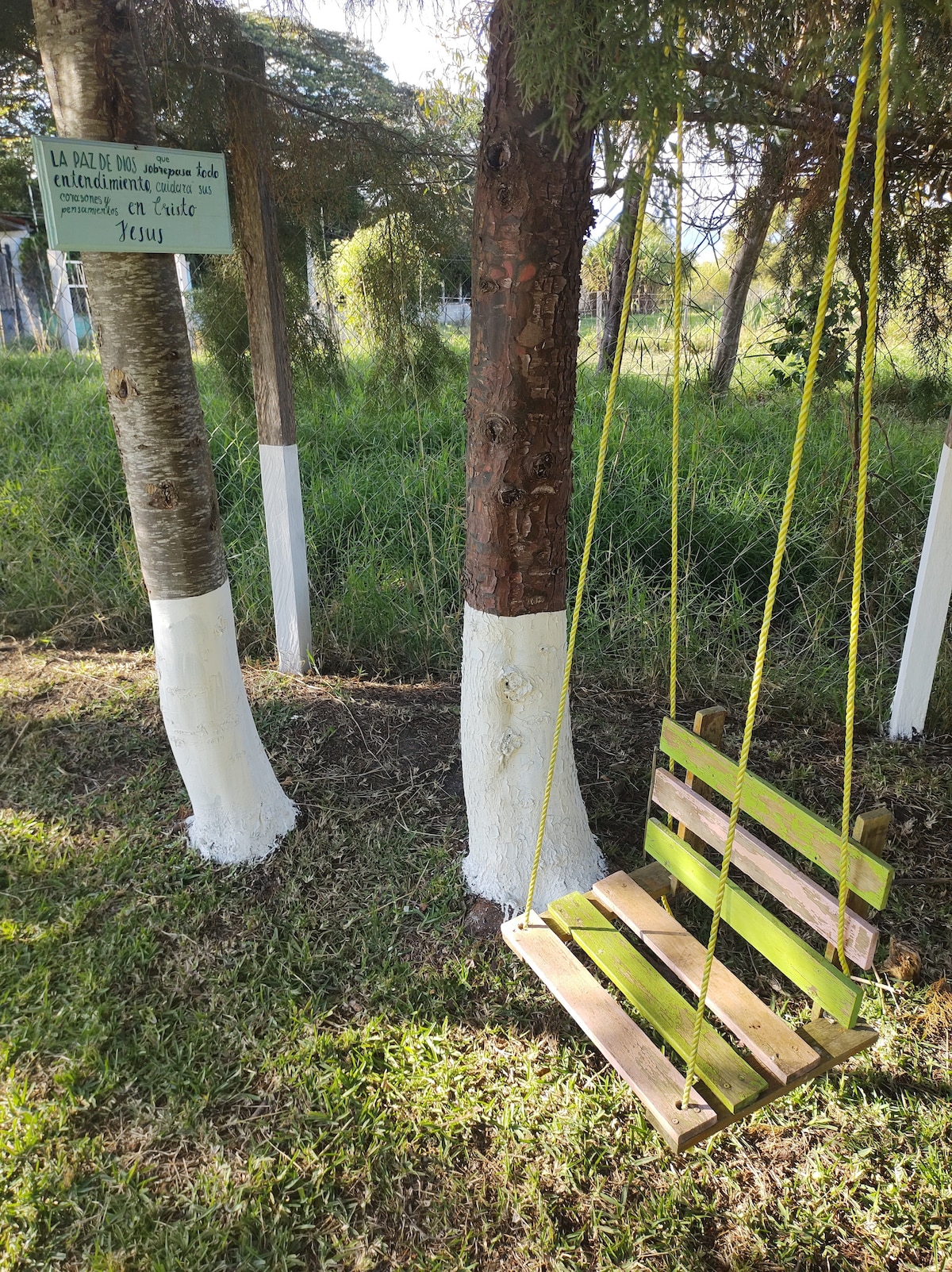 A wooden swing is suspended from a tree, surrounded by lush greenery. The swing features a two-tone color scheme of natural wood and bright green. A sign on the tree provides information about the tranquil environment, enhanced by the surrounding grass and foliage.