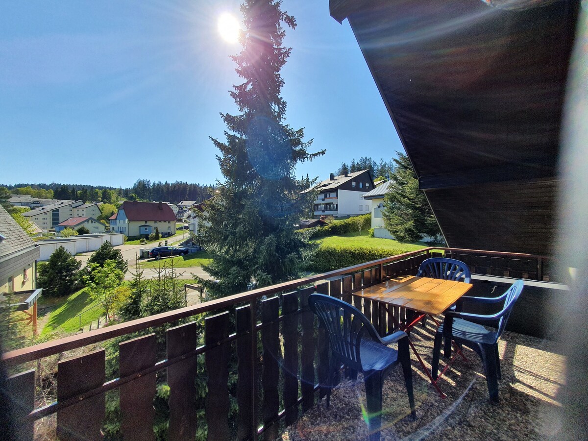 Top performing Airbnb: 2-room duplex apartment with balcony Apt. 12 in Schönwald Im Schwarzwald