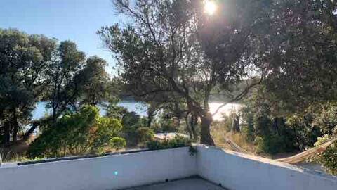 Very special & charming House by the sea/Silba