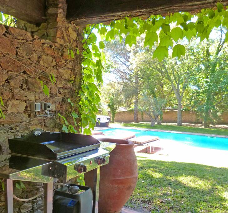 Barbeque