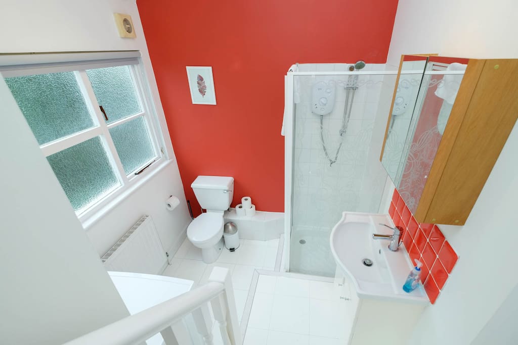 En suite bathroom with a shower and the washing machine