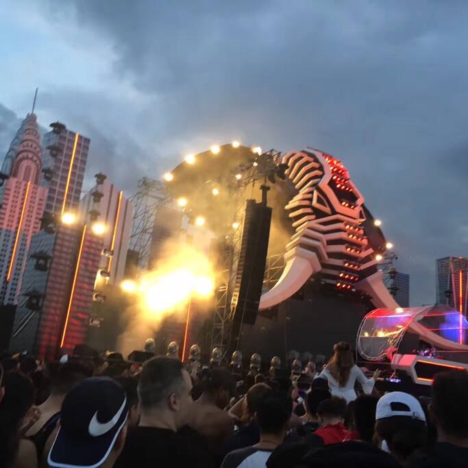 纽约派对 动物 的狂欢 Eleczoo电音节 纽约旅游攻略 尽在airbnb爱彼迎