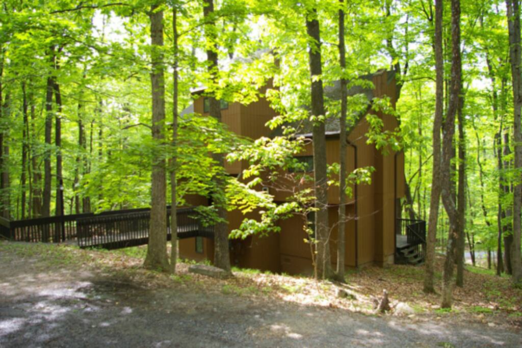 The way this cabin is situated, with various staircases, you almost feel like you are staying in a tree house with the tree top views!