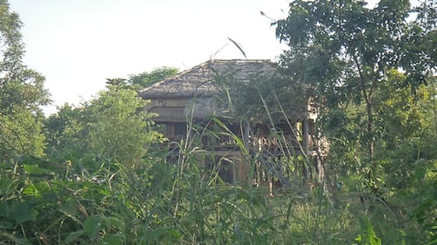 Asana Lodge Beng Mealea - Herbal Tea Plantation