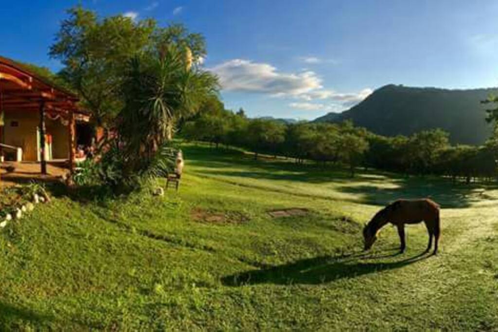 El paisaje tiene su encanto...