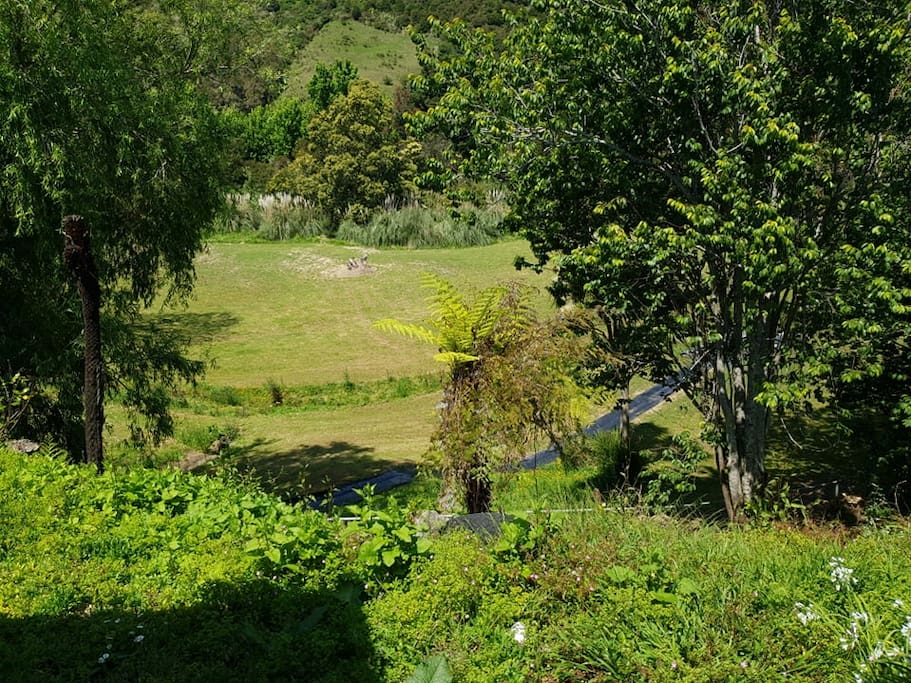 View from Balcony