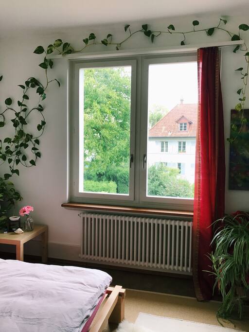 Blick aus dem Schlafzimmer