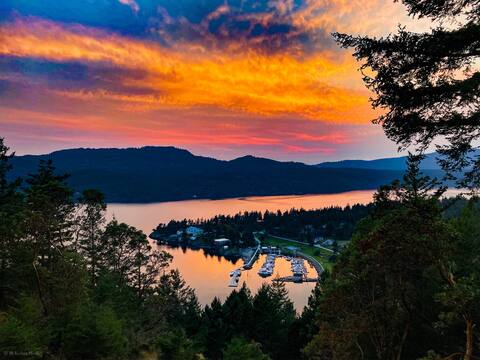 Huge Cabin with Best View on Orcas