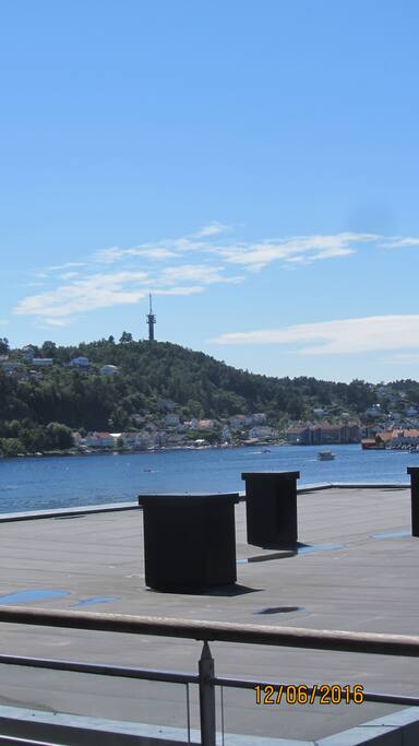 Flott utsikt til byfjorden