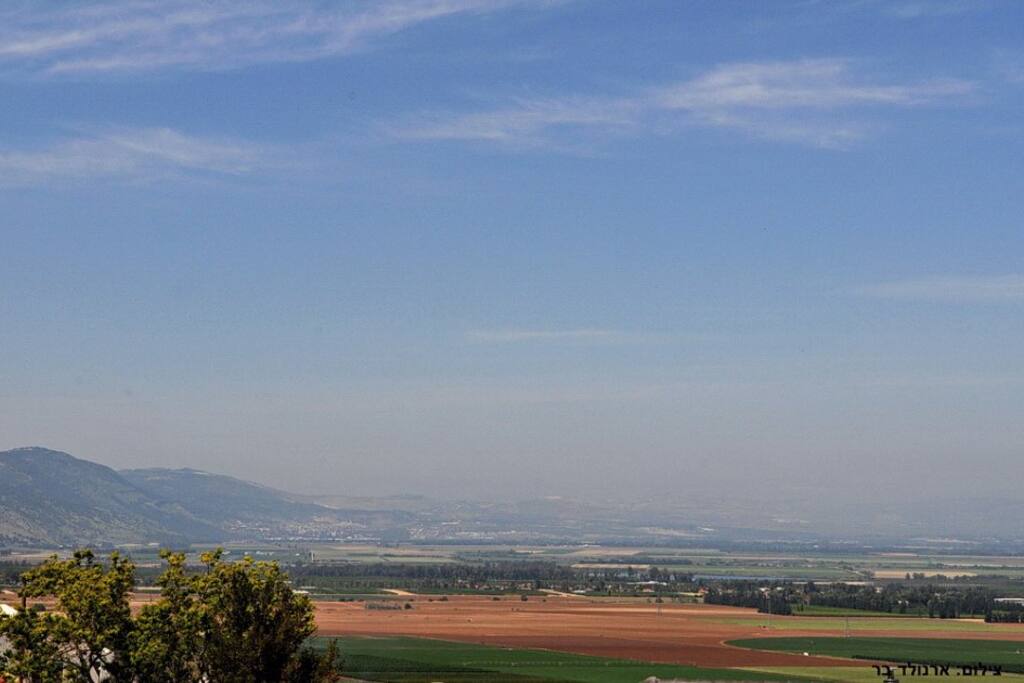 View from the open terrace