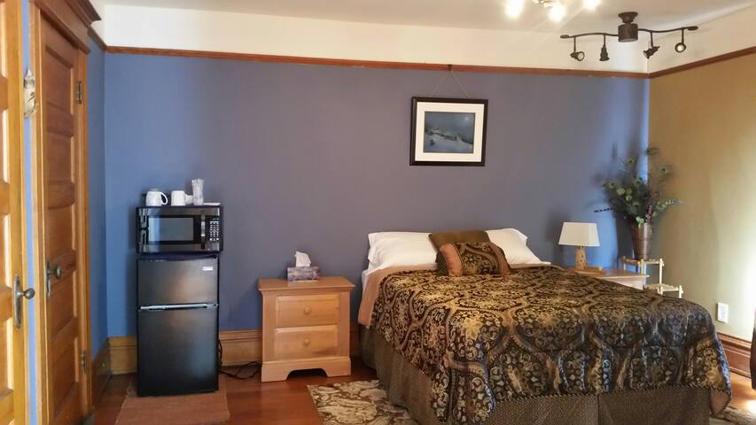 1895 Queen Anne Victorian- Blue Room