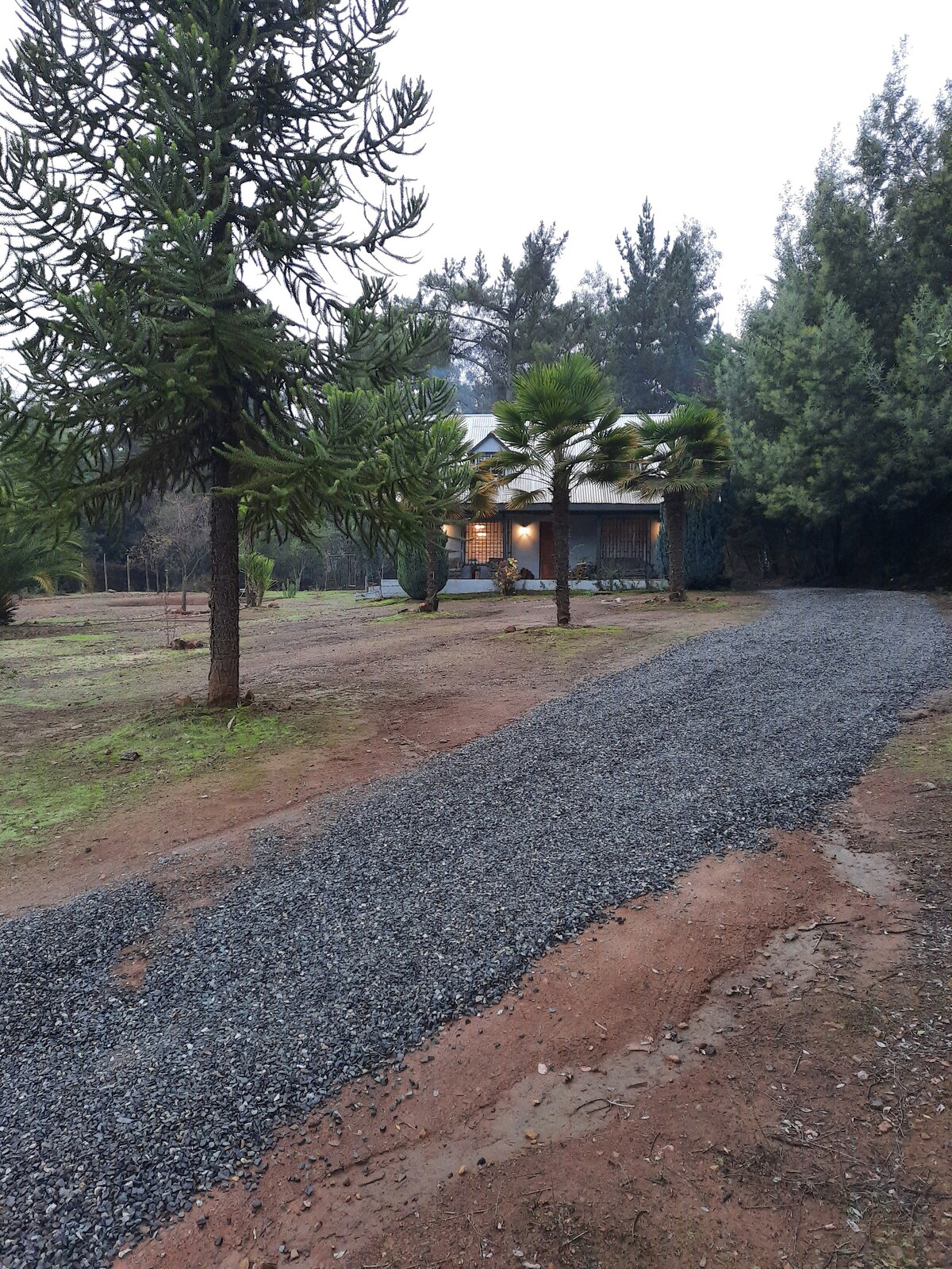 A gravel driveway leads up to a wooden cabin nestled among tall trees. The front porch is softly illuminated, suggesting a welcoming entrance. Surrounding greenery complements the natural setting, creating a peaceful atmosphere.