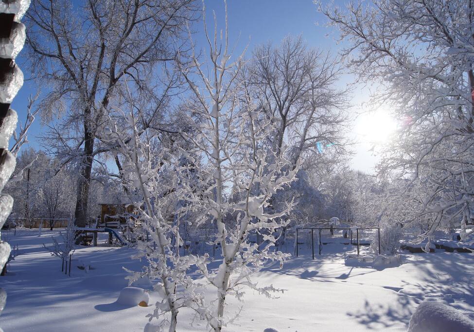 A winter wonderland when we have snow!