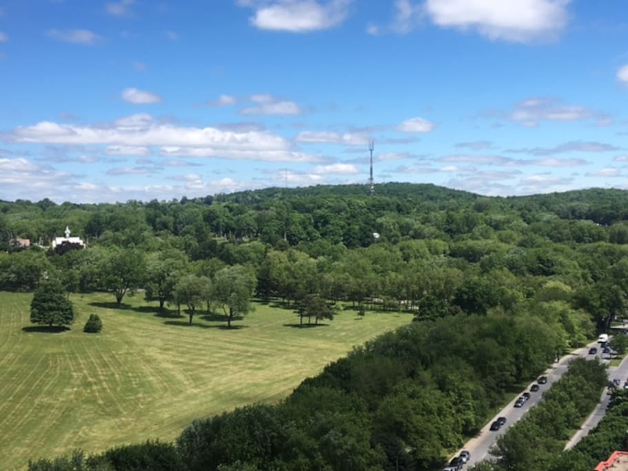 Great view from my balcony on the 19th floor