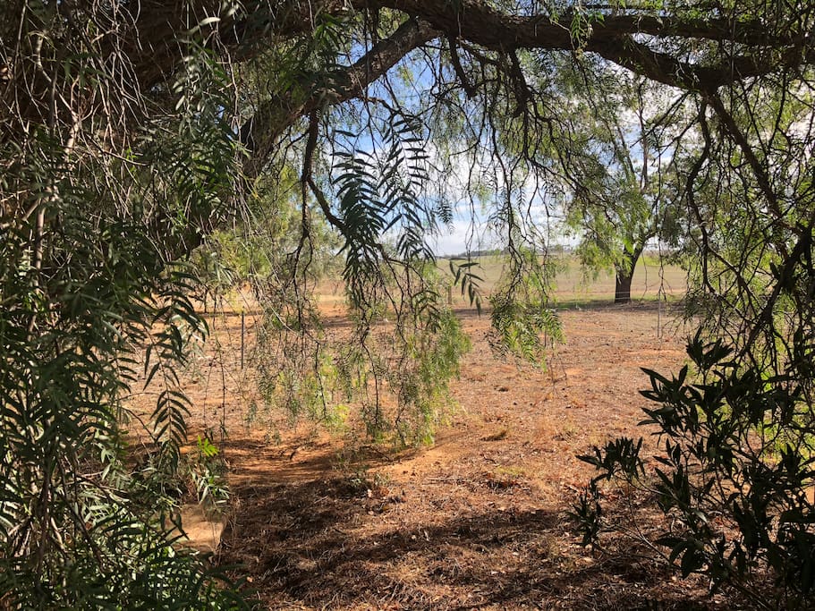 Farm views