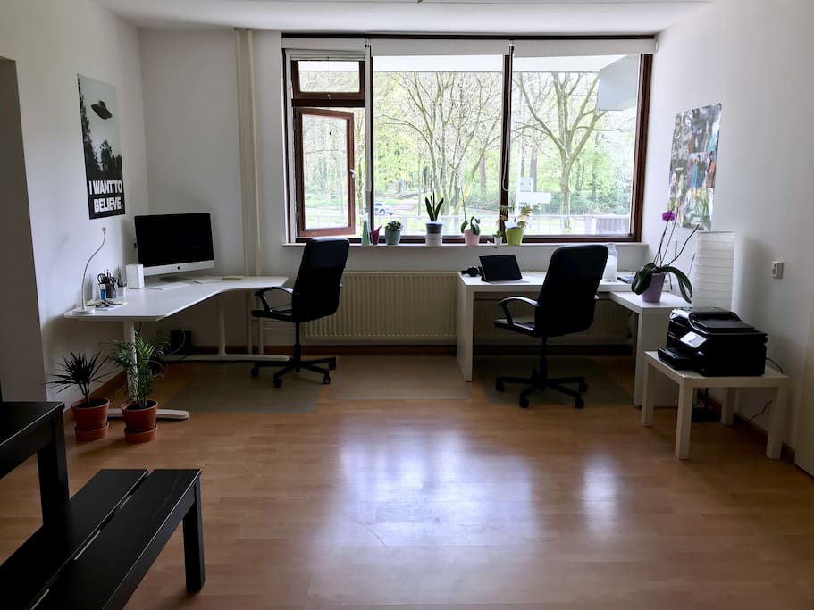Large windows and working space