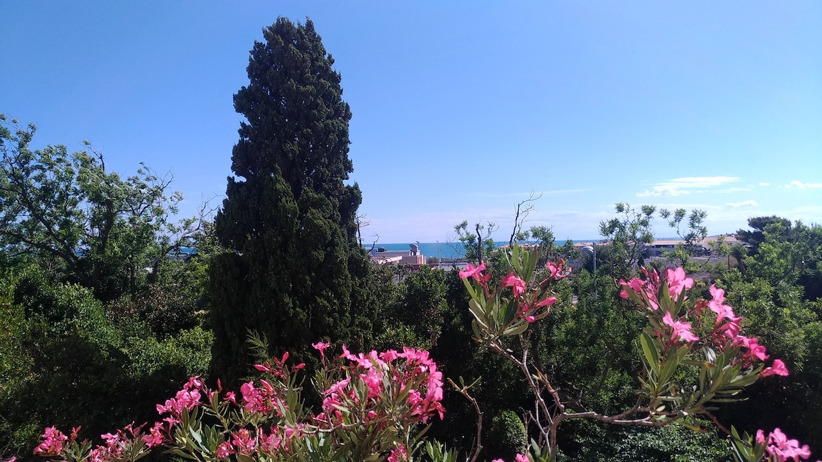 A view of the sea is captured amidst lush greenery and vibrant pink flowers. The clear blue sky enhances the bright setting, while a tall tree stands prominently in the scene, providing a natural frame to the coastal landscape.