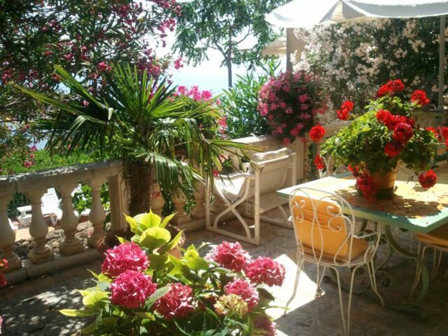Dining Terrace adjacent to Main Kitchen