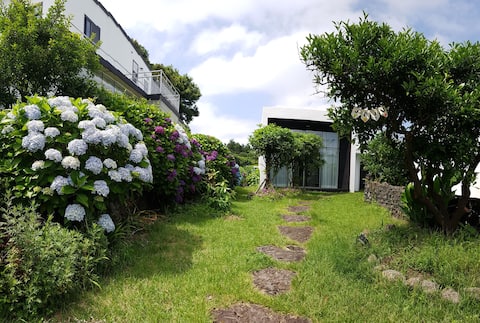 제주커플독채/욕실이엄청큰 감성숙소/빔프로젝터/커플하트욕조-느리게가는구름(취사×바베큐×)