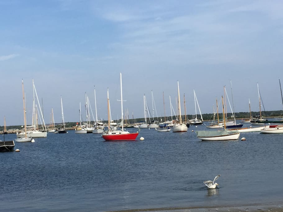 The Harbor (literally steps away)