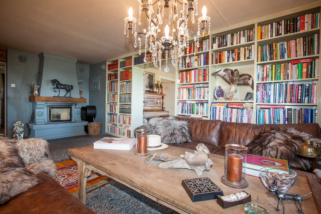 Library with a large selection of books and fireplace