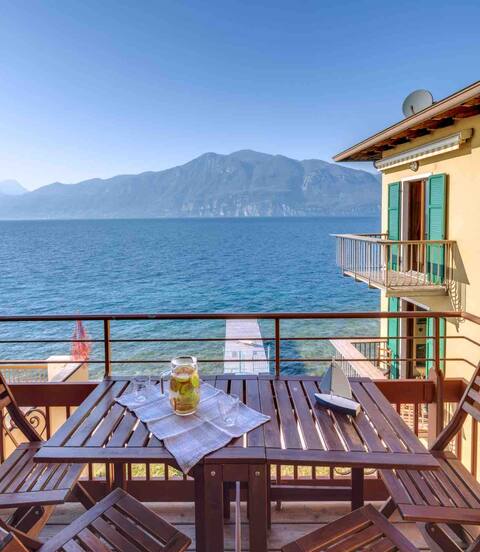Olive tree residence