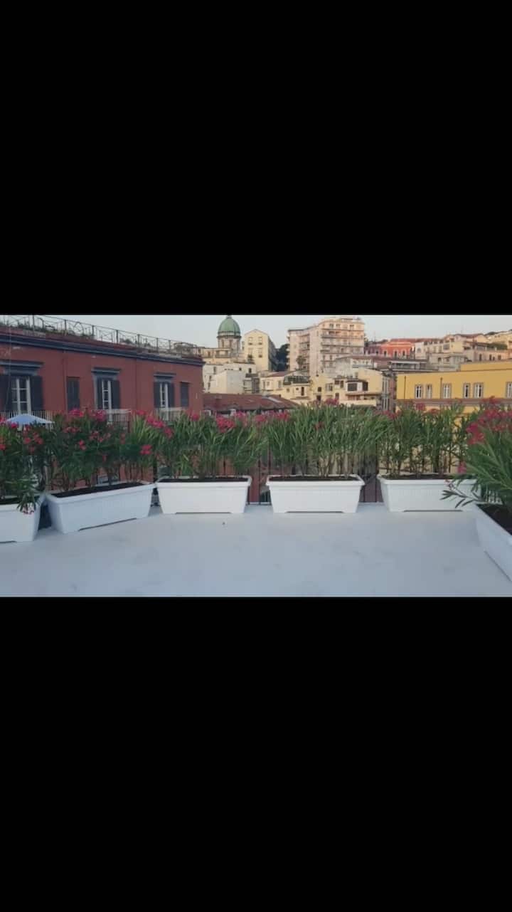 Bisignano Rooftop Apartments for Rent in Napoli, Campania, Italy Airbnb