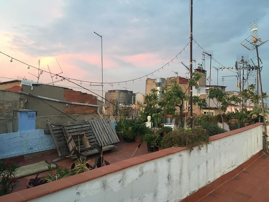 Rooftop