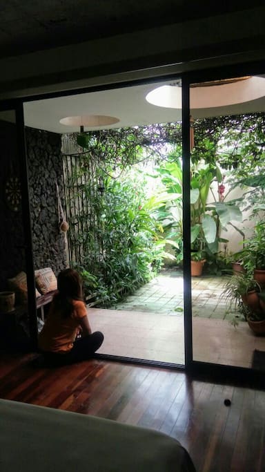Admirando las plantas y los pajaritos que nos visitan.
