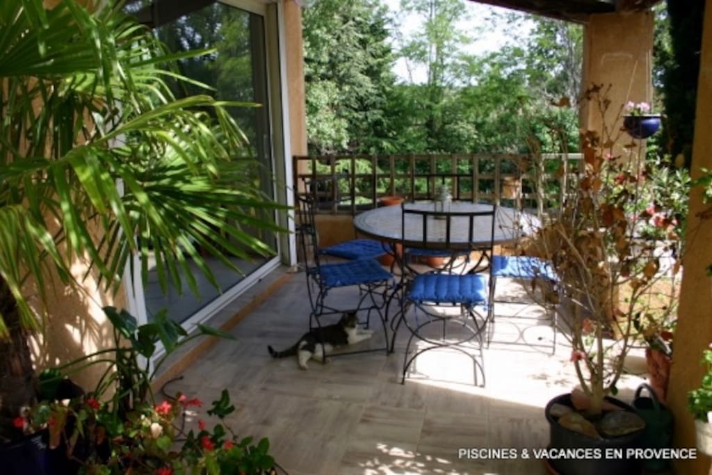 La terrasse avec nos 2 chats qui vous attendent