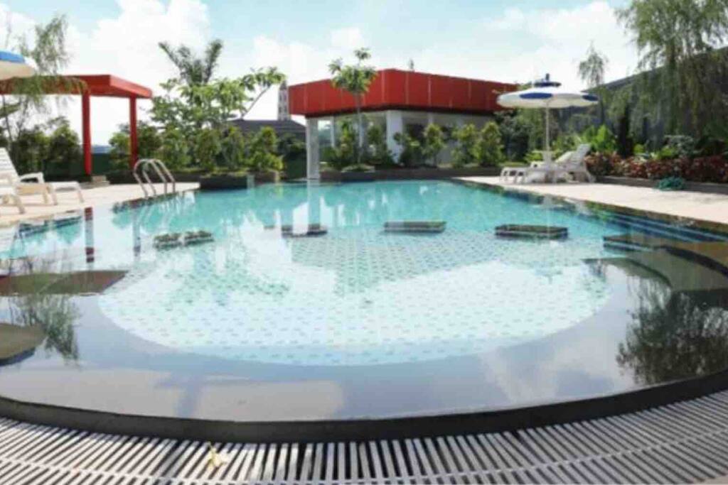 Outdoor swimming pool special for my guests :)