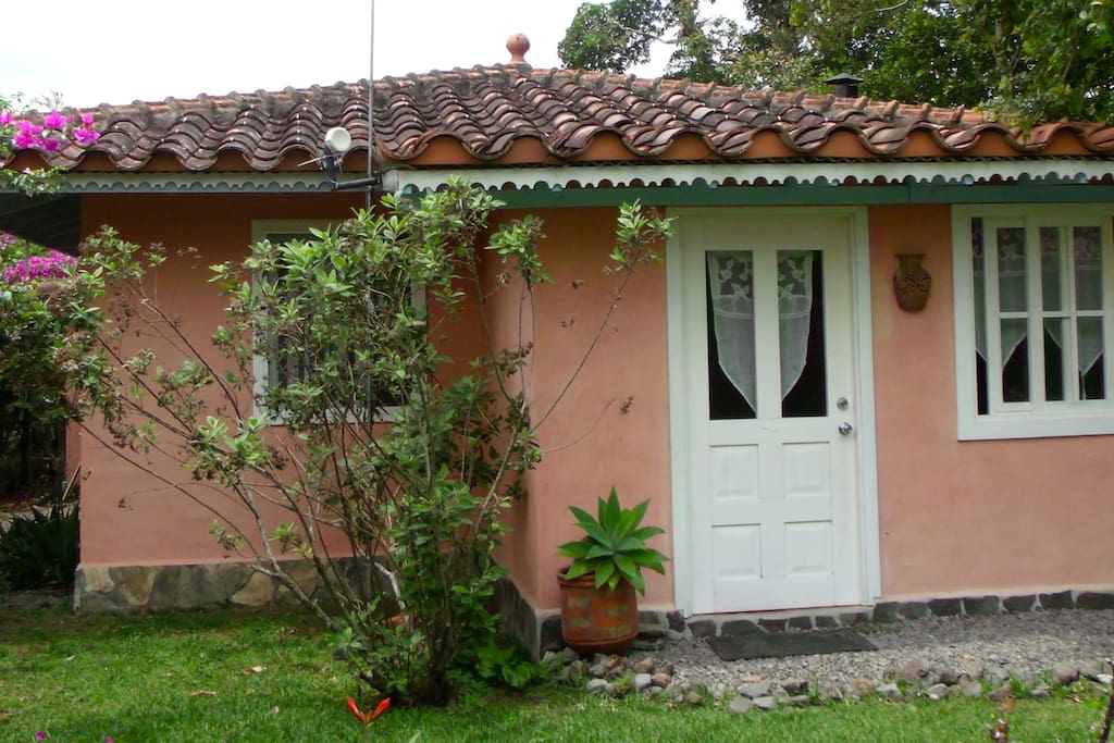Front View