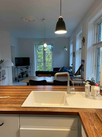 Christianshavn Penthouse gallery image 3