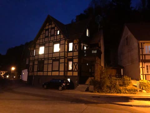 ArtApartment - House at the spa park - Zorge