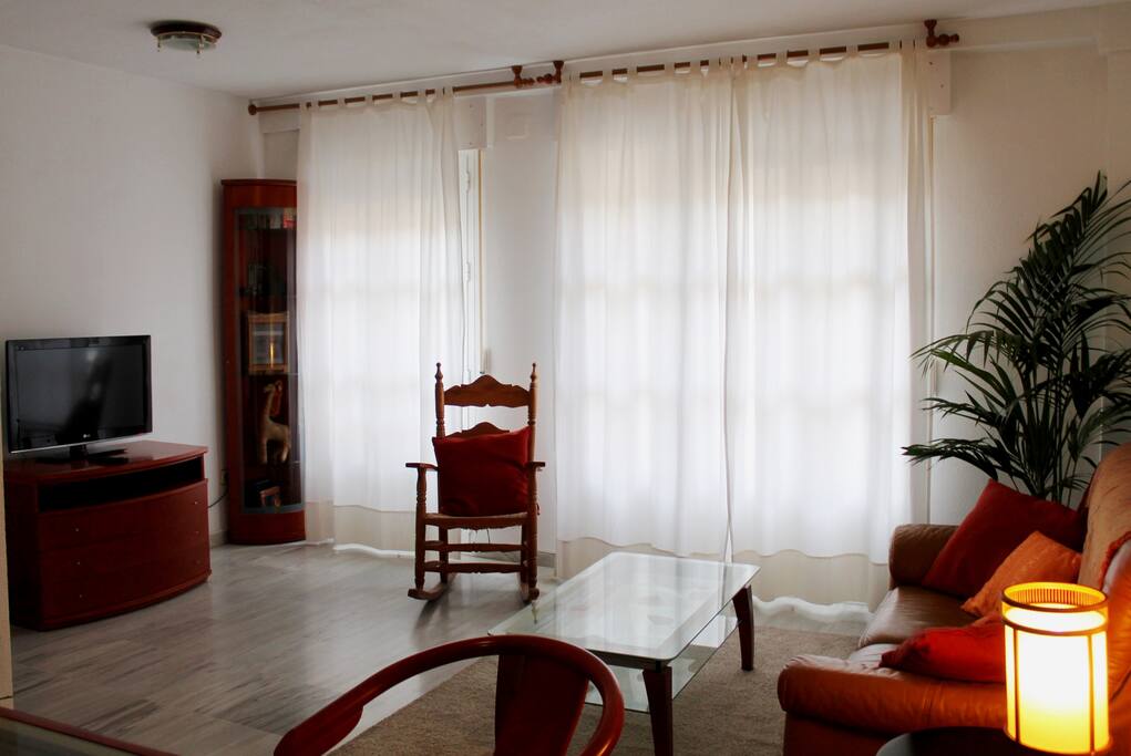VISTA DEL SALON CON TELEVISOR