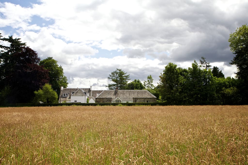 A view of the cottage from the field.
