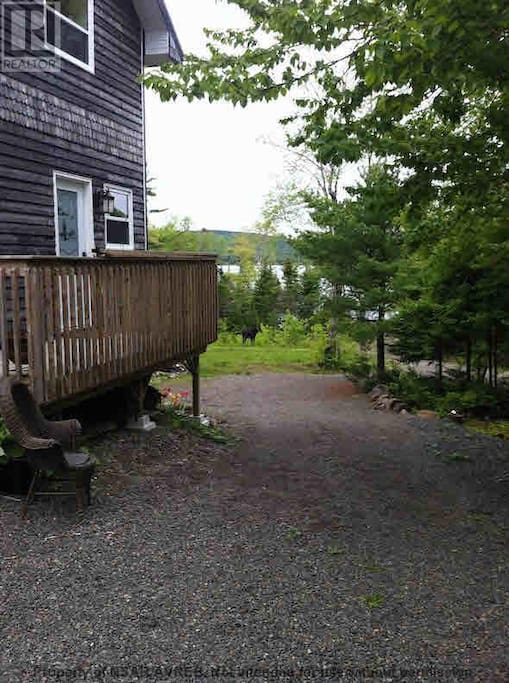 main entrance with circular gravel driveway (notice the moose in the background!)