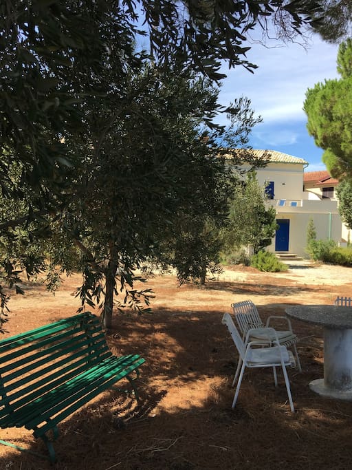 giardino