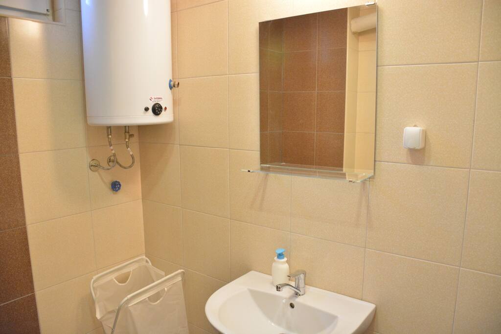 Toilet with shower